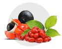 Guaraná a Acaí